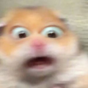 Meet your Posher, Kento